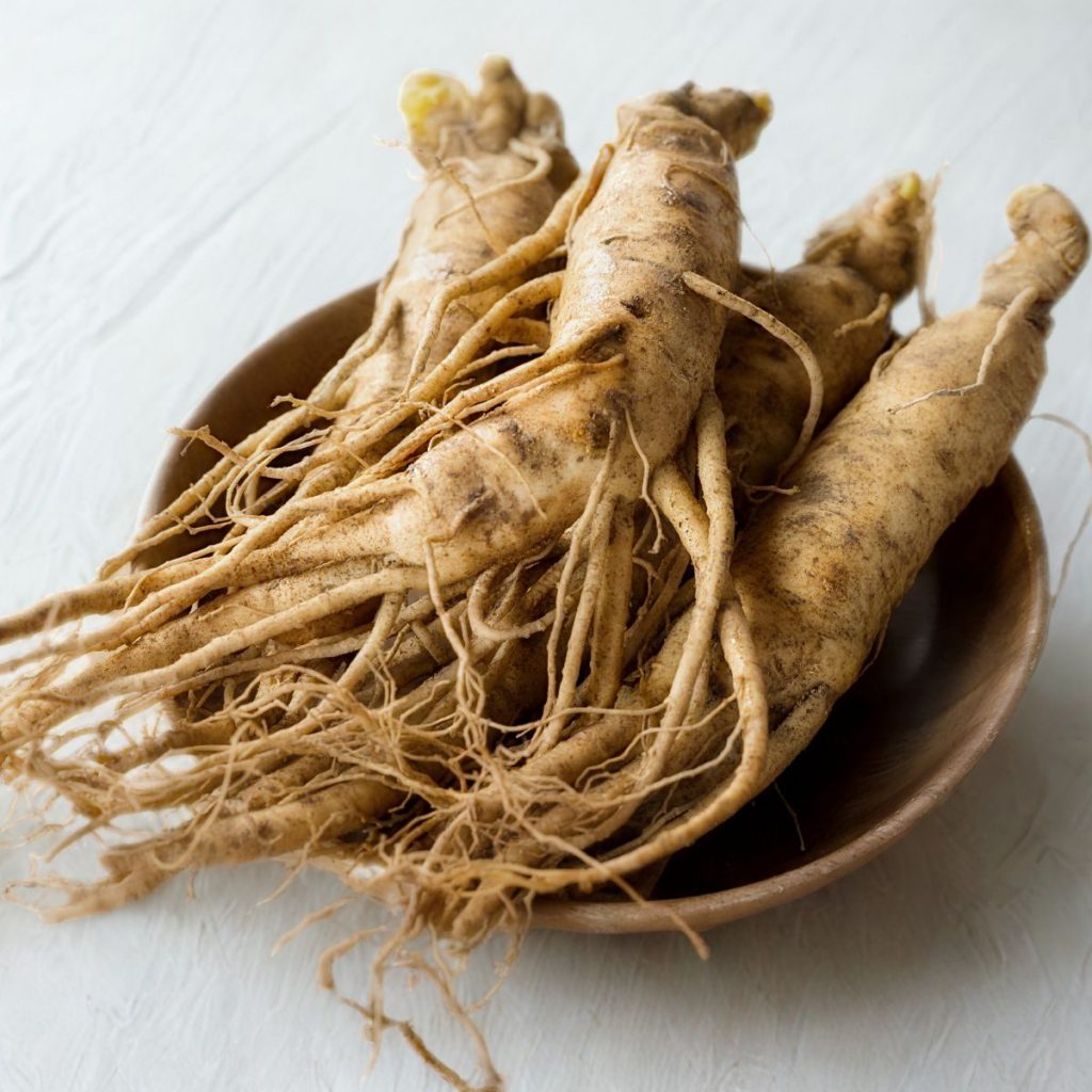 zensen, panax ginseng
